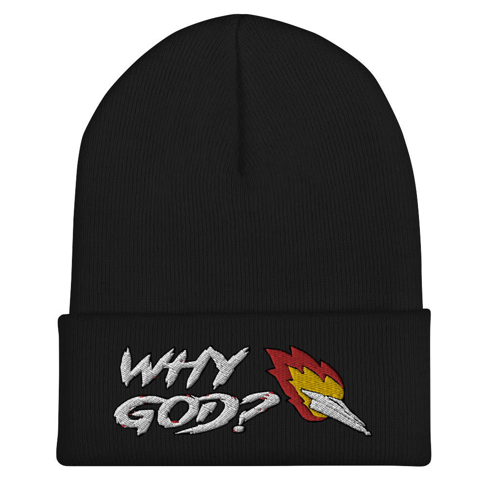 Why God? Beanie