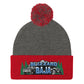 Blizzard BaJa Pom Beanie